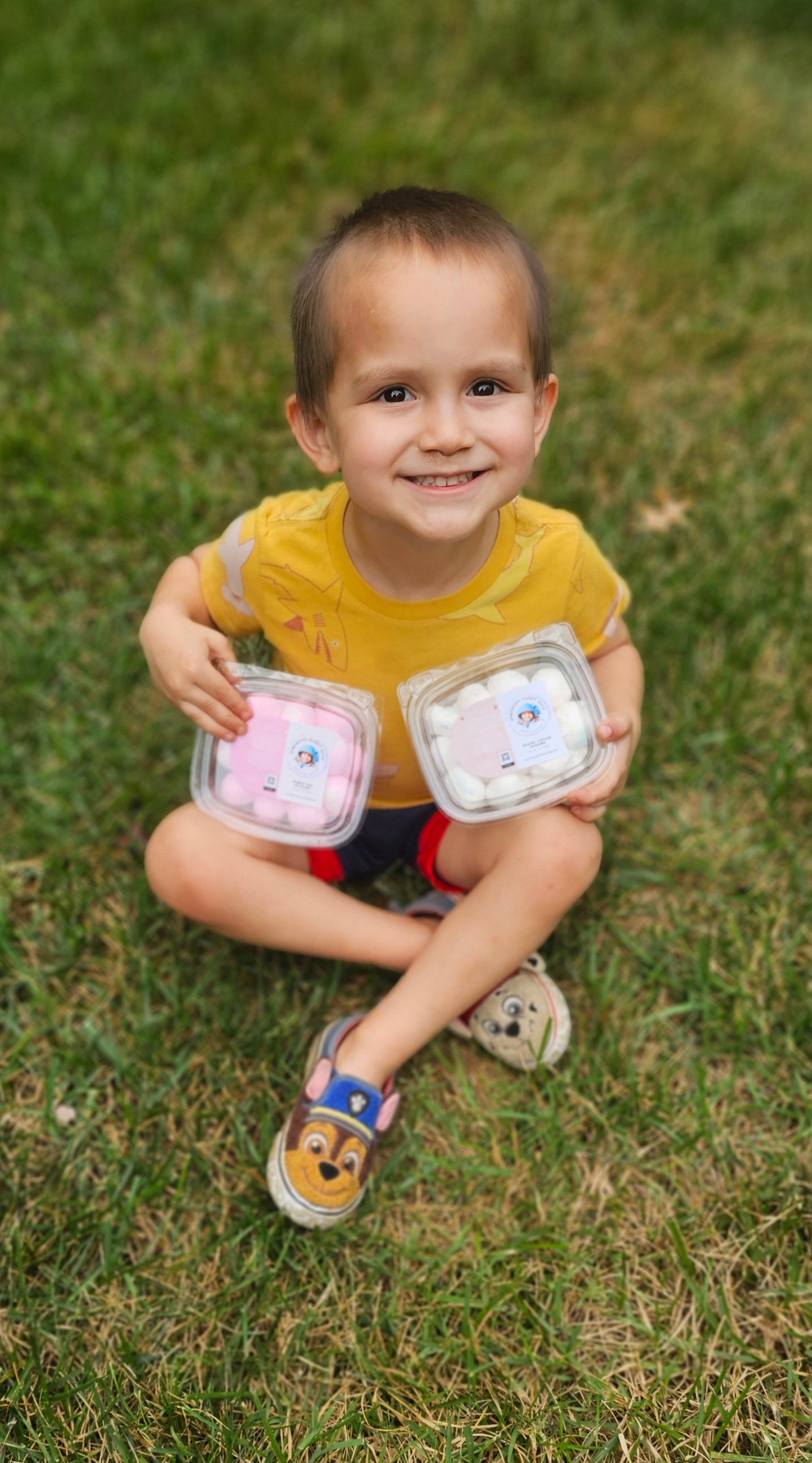 Frosted Cupcake Crunchies (Freeze Dried)